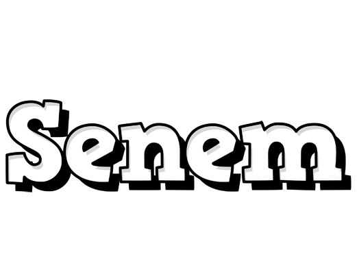 Senem snowing logo