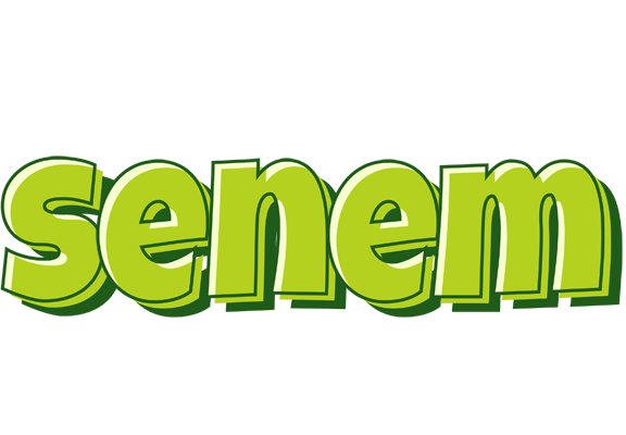 Senem summer logo