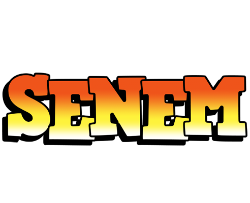 Senem sunset logo