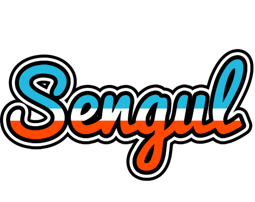 Sengul america logo
