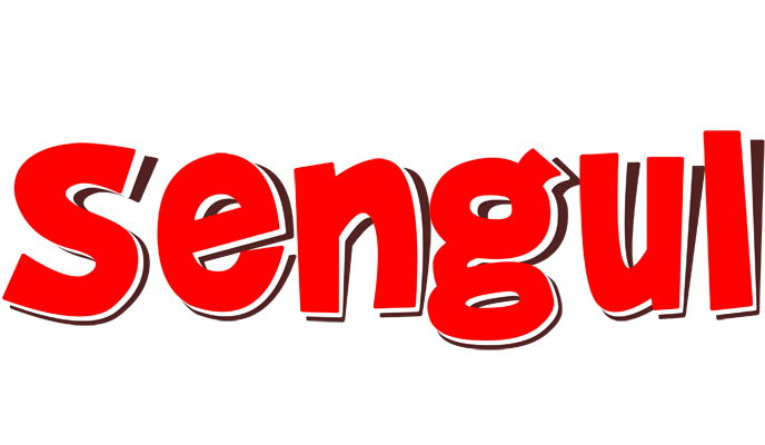 Sengul basket logo
