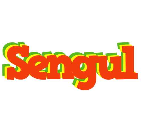 Sengul bbq logo