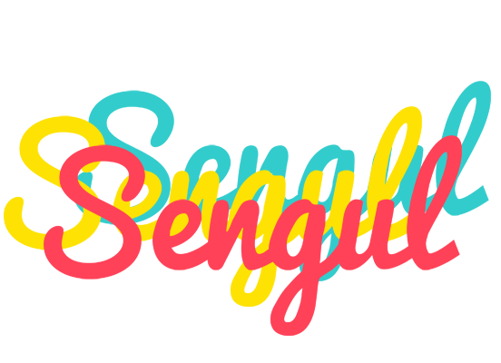 Sengul disco logo