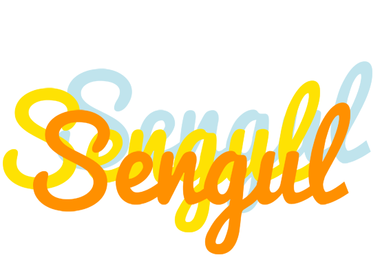 Sengul energy logo