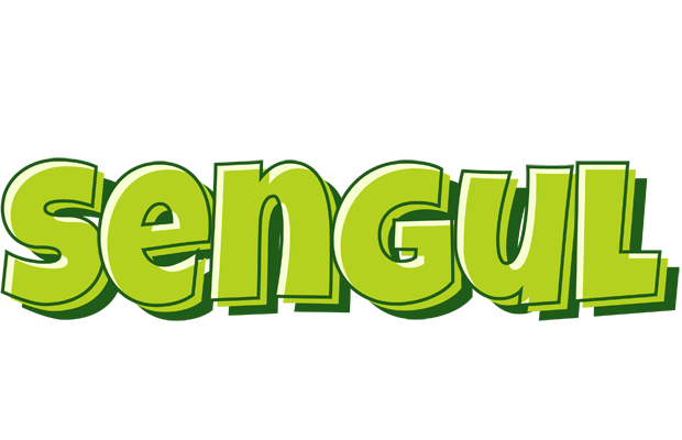 Sengul summer logo