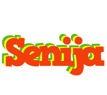 Senija bbq logo