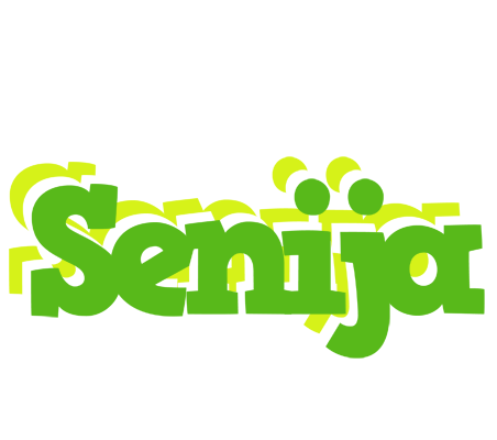 Senija picnic logo