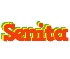 Senita bbq logo