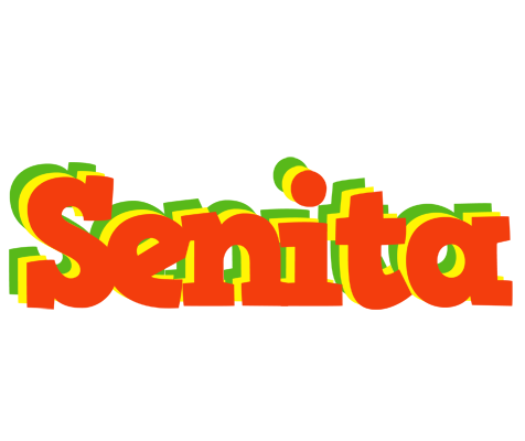 Senita bbq logo