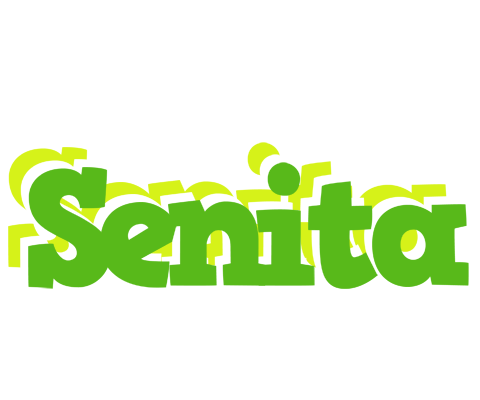 Senita picnic logo
