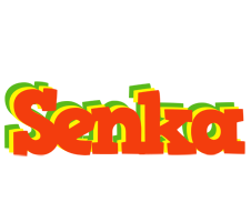 Senka bbq logo