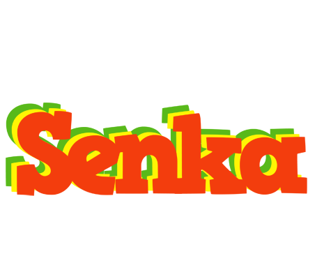 Senka bbq logo