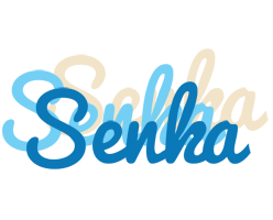 Senka breeze logo