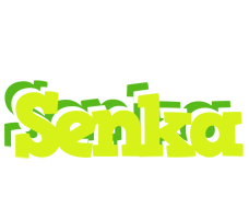 Senka citrus logo