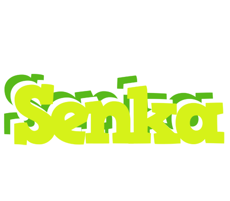 Senka citrus logo