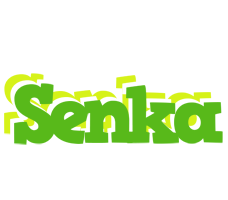 Senka picnic logo