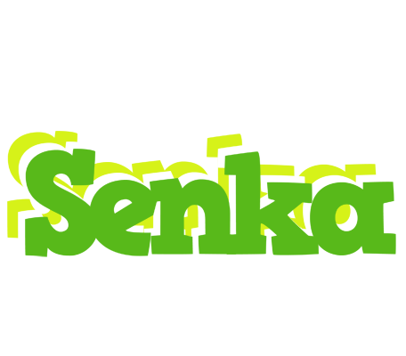 Senka picnic logo