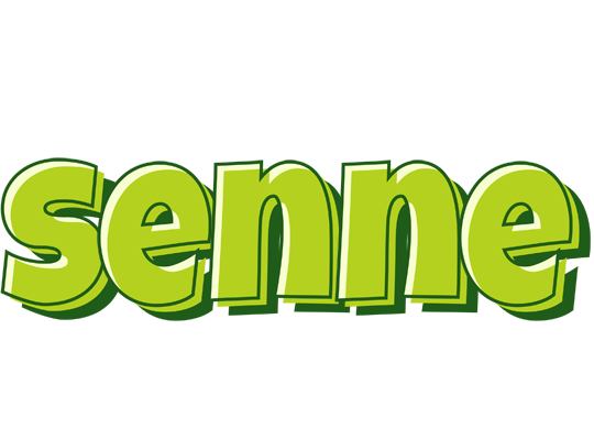 Senne summer logo