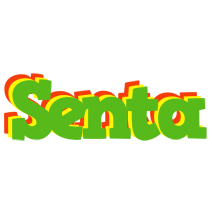 Senta crocodile logo