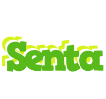 Senta picnic logo