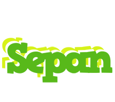 Sepan picnic logo