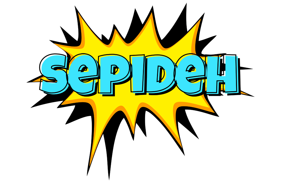 Sepideh indycar logo