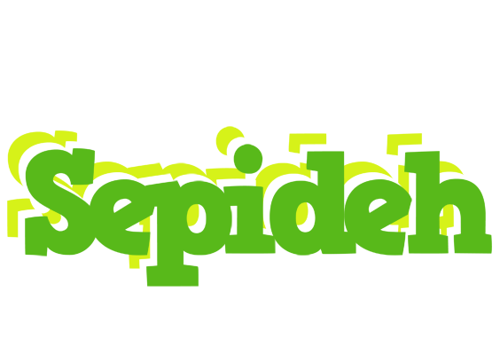 Sepideh picnic logo