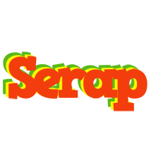 Serap bbq logo