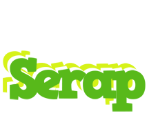 Serap picnic logo