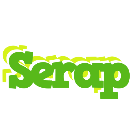 Serap picnic logo