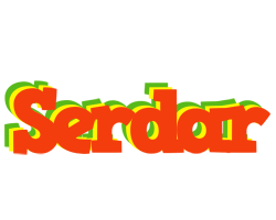 Serdar bbq logo