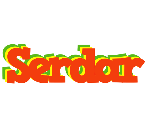 Serdar bbq logo
