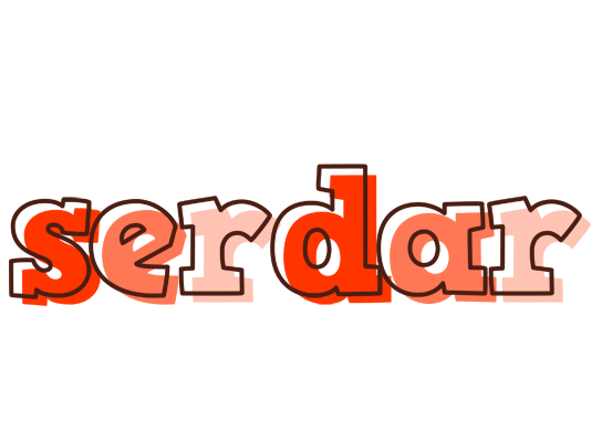 Serdar paint logo