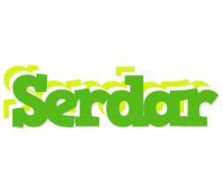 Serdar picnic logo