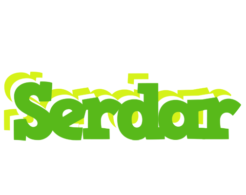 Serdar picnic logo