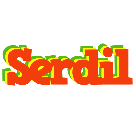 Serdil bbq logo