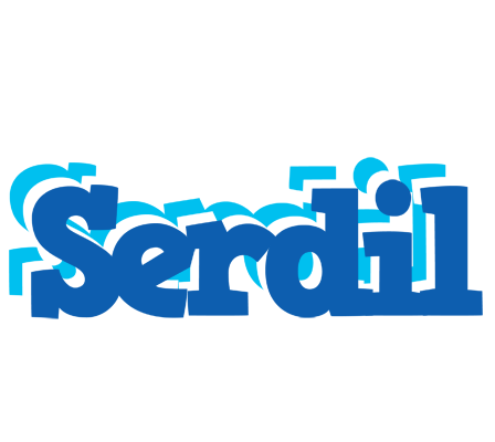 Serdil business logo