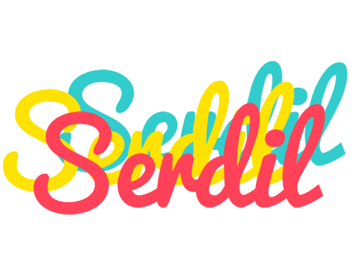 Serdil disco logo