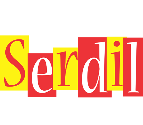 Serdil errors logo