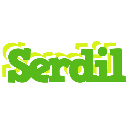 Serdil picnic logo
