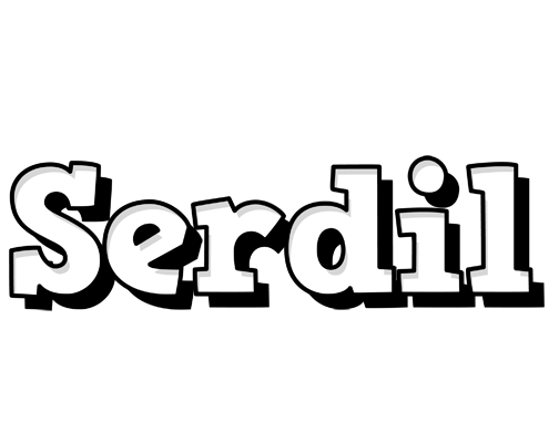 Serdil snowing logo