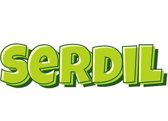 Serdil summer logo