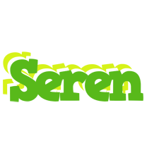 Seren picnic logo