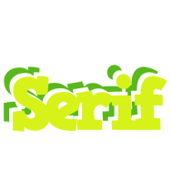 Serif citrus logo