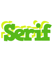 Serif picnic logo