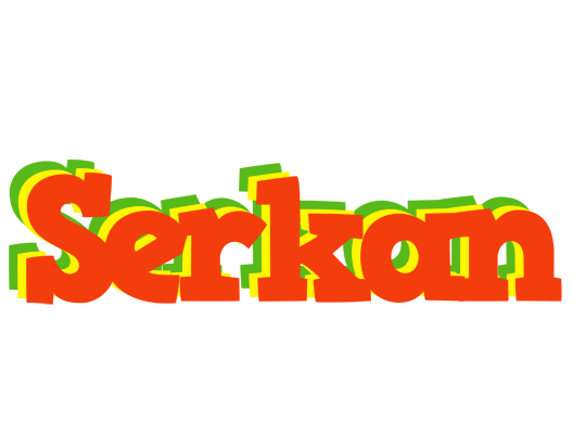Serkan bbq logo
