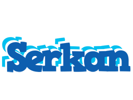 Serkan business logo