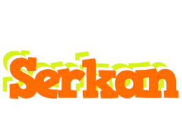 Serkan healthy logo