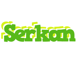 Serkan picnic logo