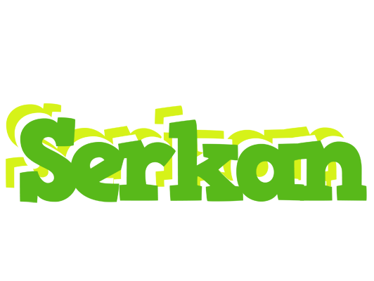 Serkan picnic logo